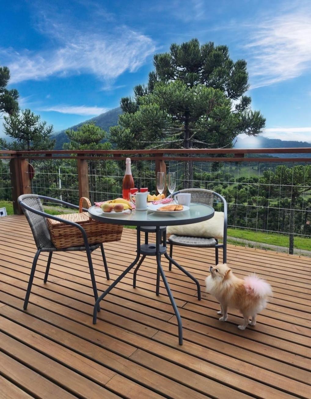 Altitude Maxima - Cabanas De Altitude Urubici Ngoại thất bức ảnh
